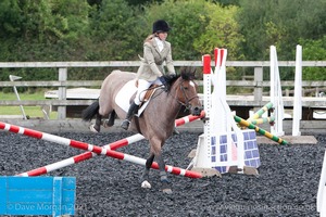 Class 3 -  Fences not above 2'3